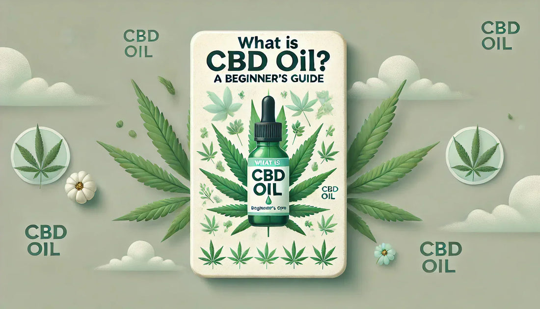 What is CBD Oil? A Beginner’s Guide