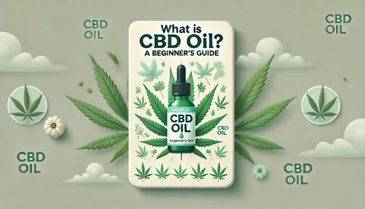 What is CBD Oil? A Beginner’s Guide