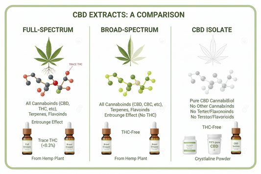 Full-Spectrum vs Broad-Spectrum vs Isolate: What’s the Difference?